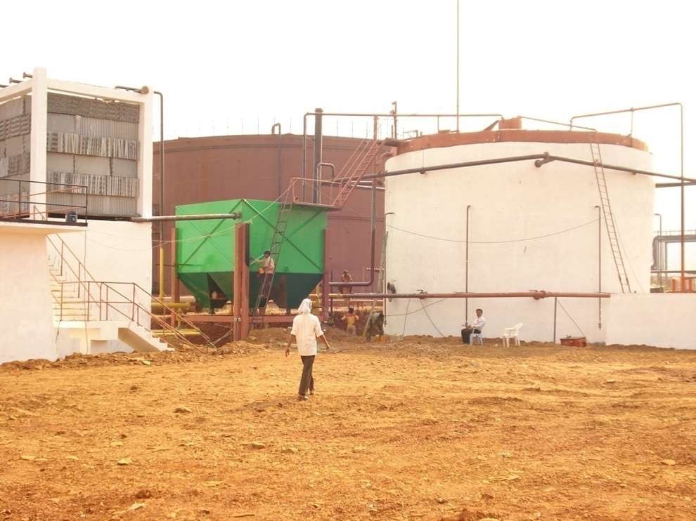Super Napier Grass: The High-Yield Energy Crop Powering Bio-CNG